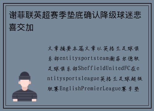 谢菲联英超赛季垫底确认降级球迷悲喜交加